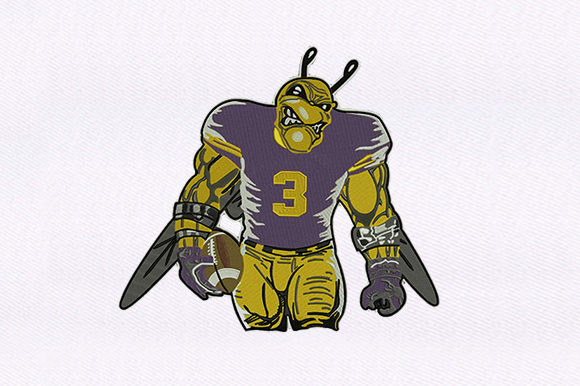 Football Playing Bug: Practical Review for Real Embroidery Projects